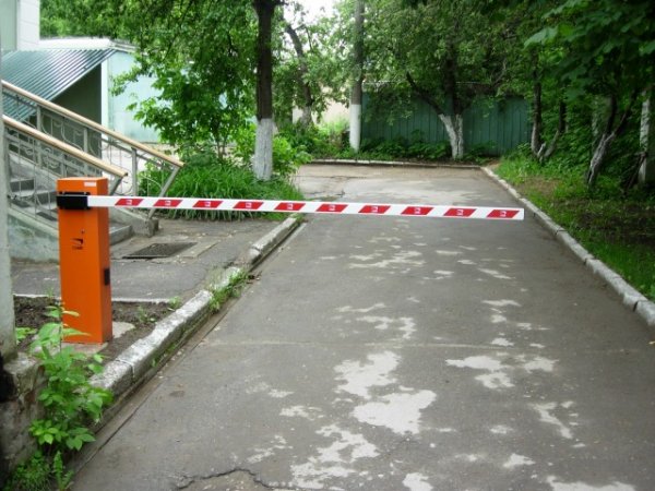 vibor-avtoatich-shlalkbauma